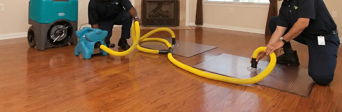 emergency water removal technicians extracting standing water from a home using professional equipment in Minneapolis, MN